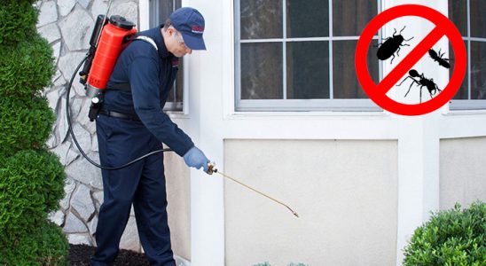 Eskipazar Akrep İlaçlama böcek ilaçlama ve haşere kontrolü — ilaclama-tr.com